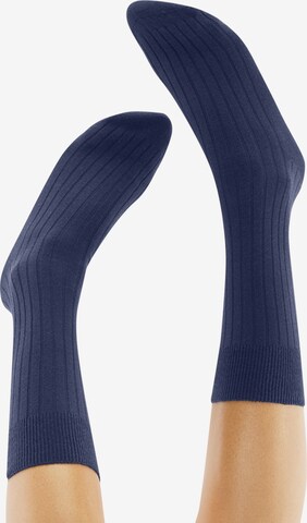 Chaussettes 'TOUGH GUY 4P' CHEERIO* en mélange de couleurs