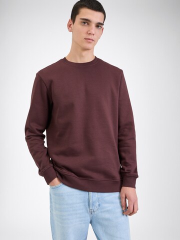 Only & Sons Sweatshirt 'ONSConnor' i brun: framsida