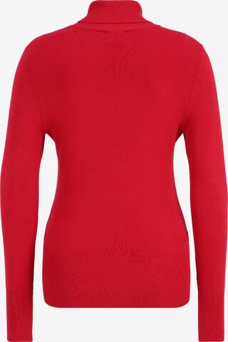 Betty Barclay Basic-Strickpullover mit Kragen in Rot