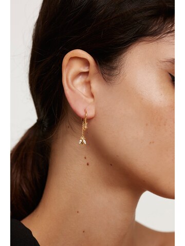 P D PAOLA Earrings in Yellow: front