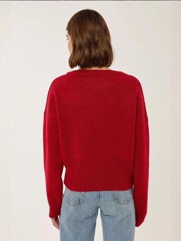 Pull-over Hiccup en rouge