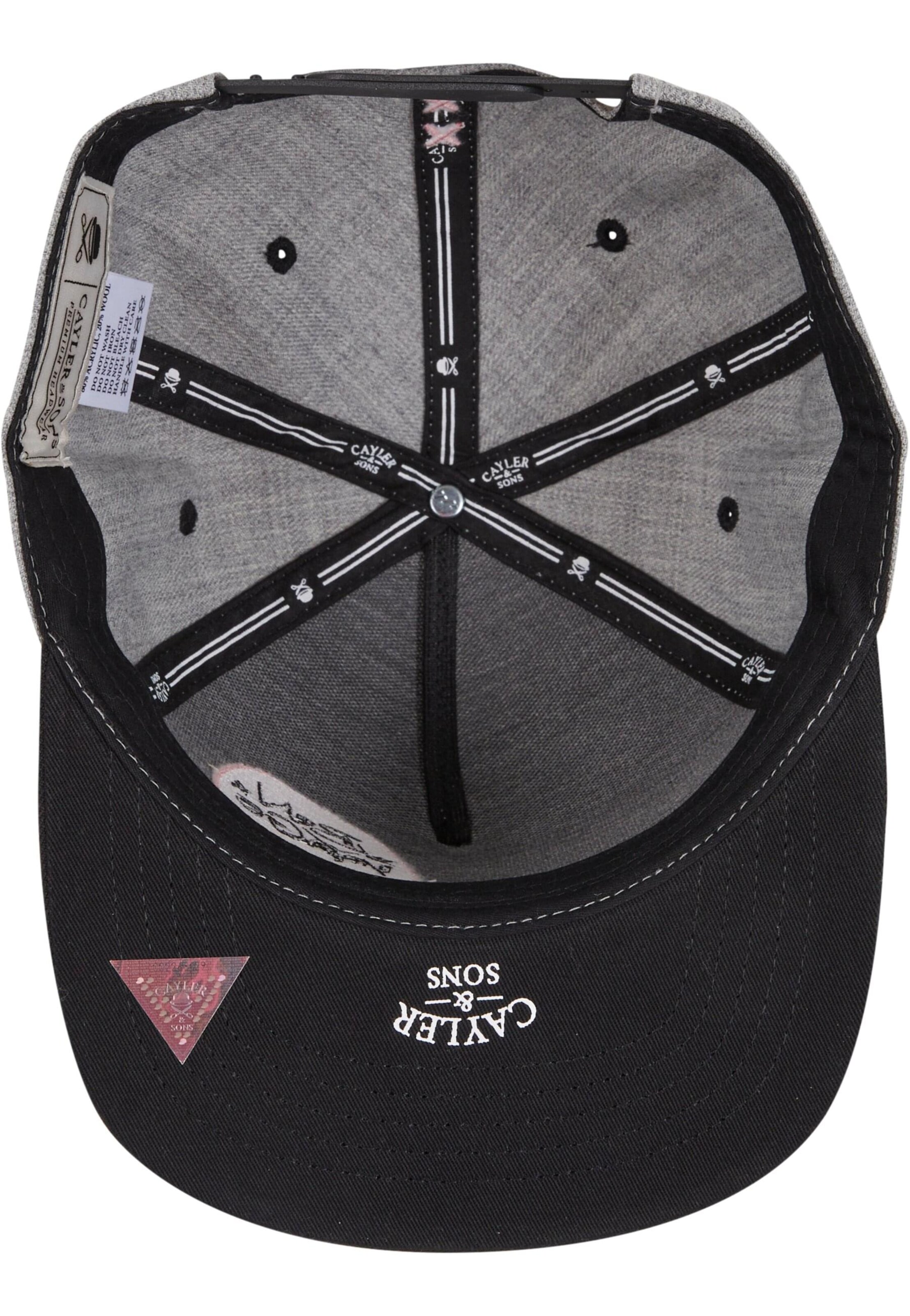 Cayler & Sons Cap 'Bouble Voyage' in Grey