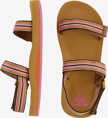 REEF Sandals 'Ahi' in Yellow