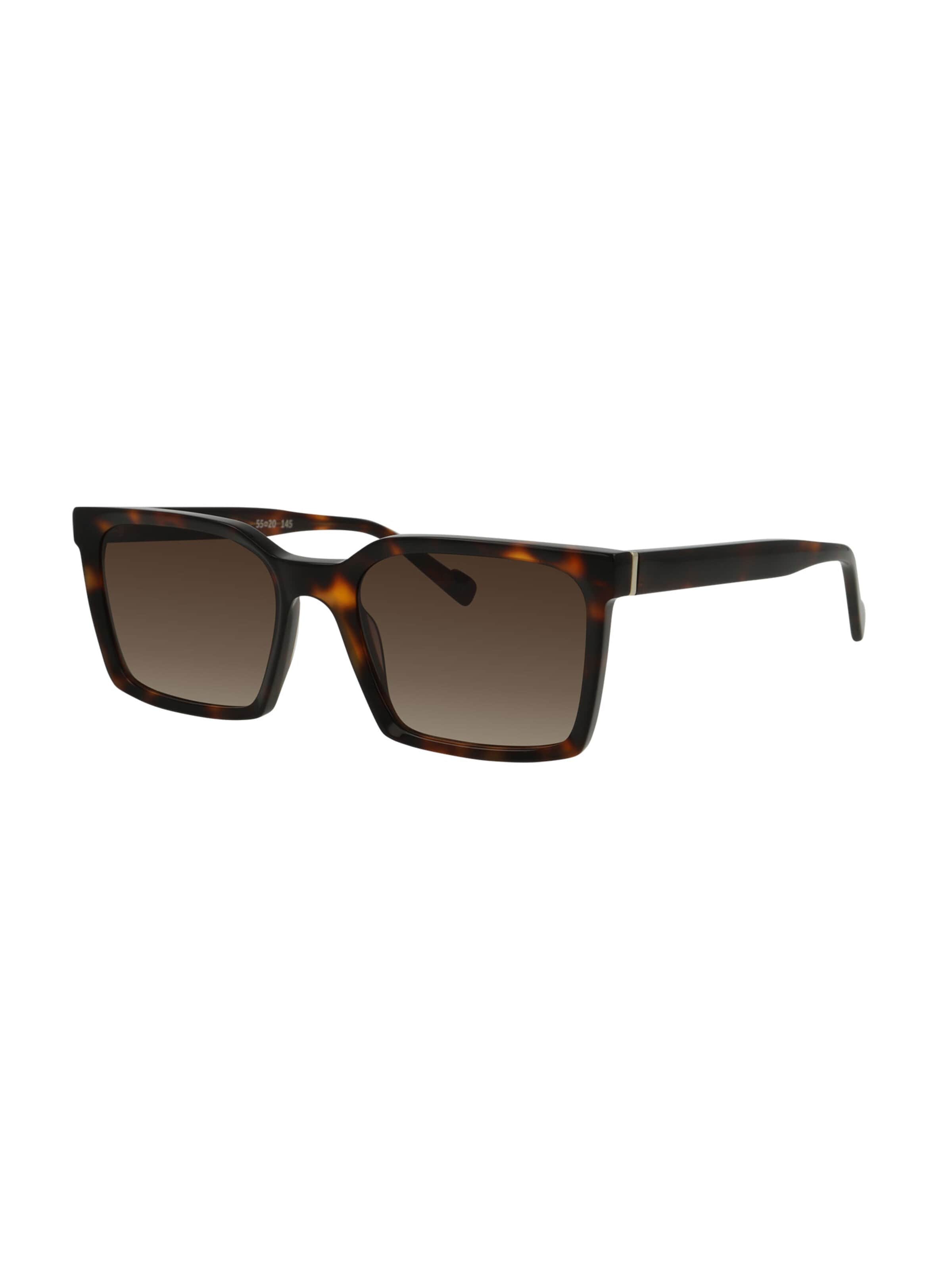 FRAIMS Sunglasses 'Alex' in Brown: front