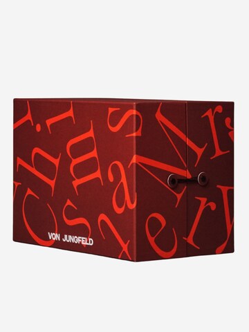 Von Jungfeld Socks 'Weihnachtskalender mit Socken' in Mixed colors