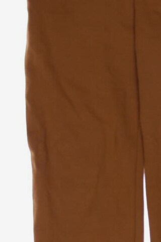 ViCOLO Northland Pants in M in Brown