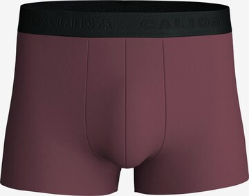 CALIDA Boxer shorts 'Clean Line' in Beige: front