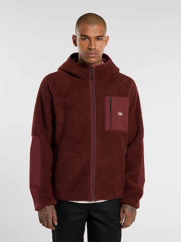Veste en polaire DICKIES en marron : devant