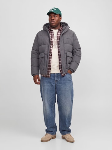 JACK & JONES Winterjas in Grijs