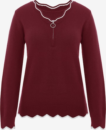 Imily Bela Sweter w kolorze czerwony: przód