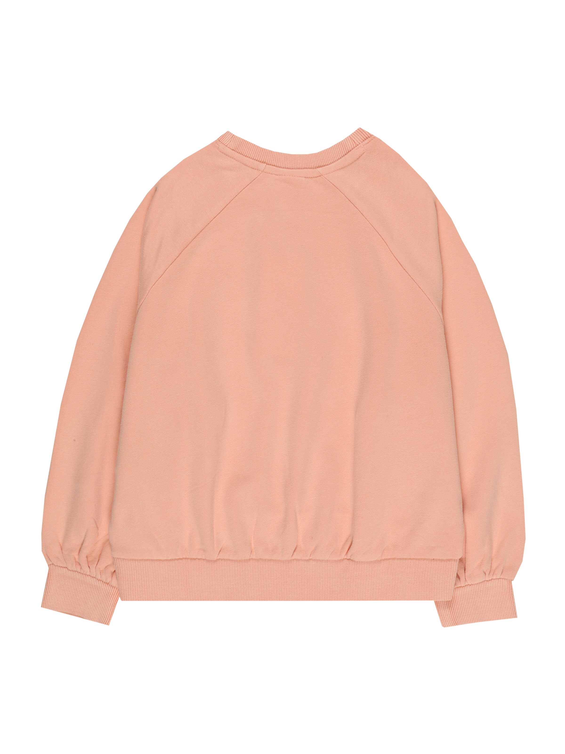 s.Oliver Sweatshirt in Oranje