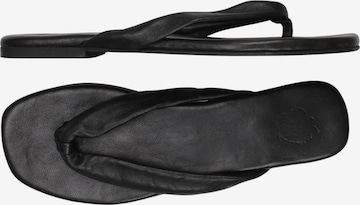 Apple of Eden Sandalen 39 in Schwarz ABOUT YOU