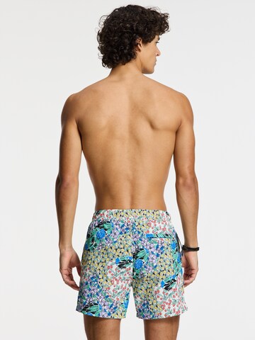 Shiwi - Bermudas 'Nate' en Mezcla de colores