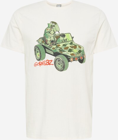 AMPLIFIED Shirt in grün / oliv / rot / schwarz / weiß, Produktansicht