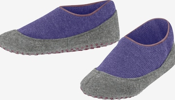 FALKE Socks 'Cosyshoe' in Purple: front