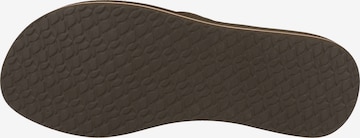 REEF Beach & Pool Shoes 'Cushion Breeze' in Brown