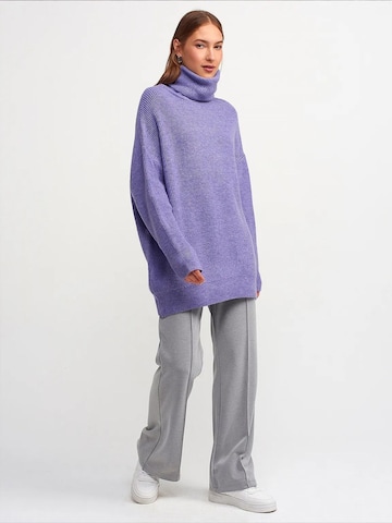 Dilvin - Pullover 'Pullover' em roxo