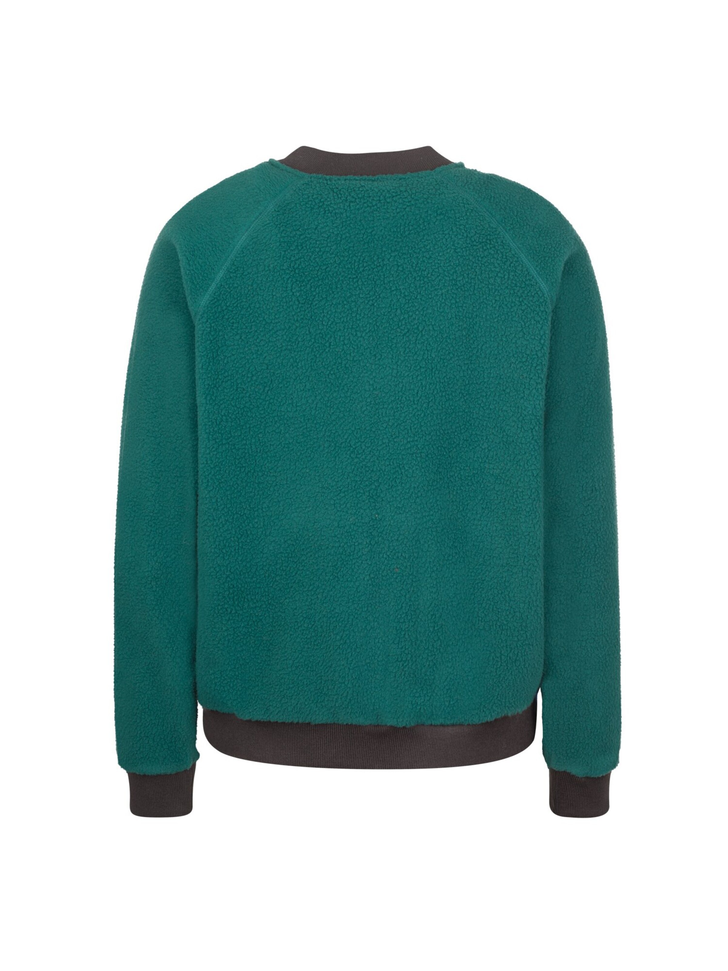 WESTFJORD Fleecejacke‌‌‌‌‌‌‌‌‌ in Grün