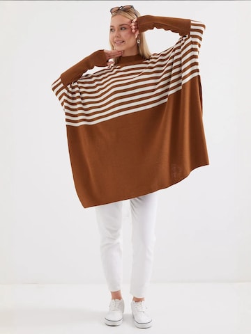 Bigdart Trui in Bruin