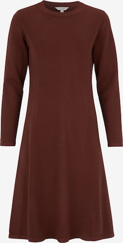 Robes en maille Cellbes of Sweden en marron : devant