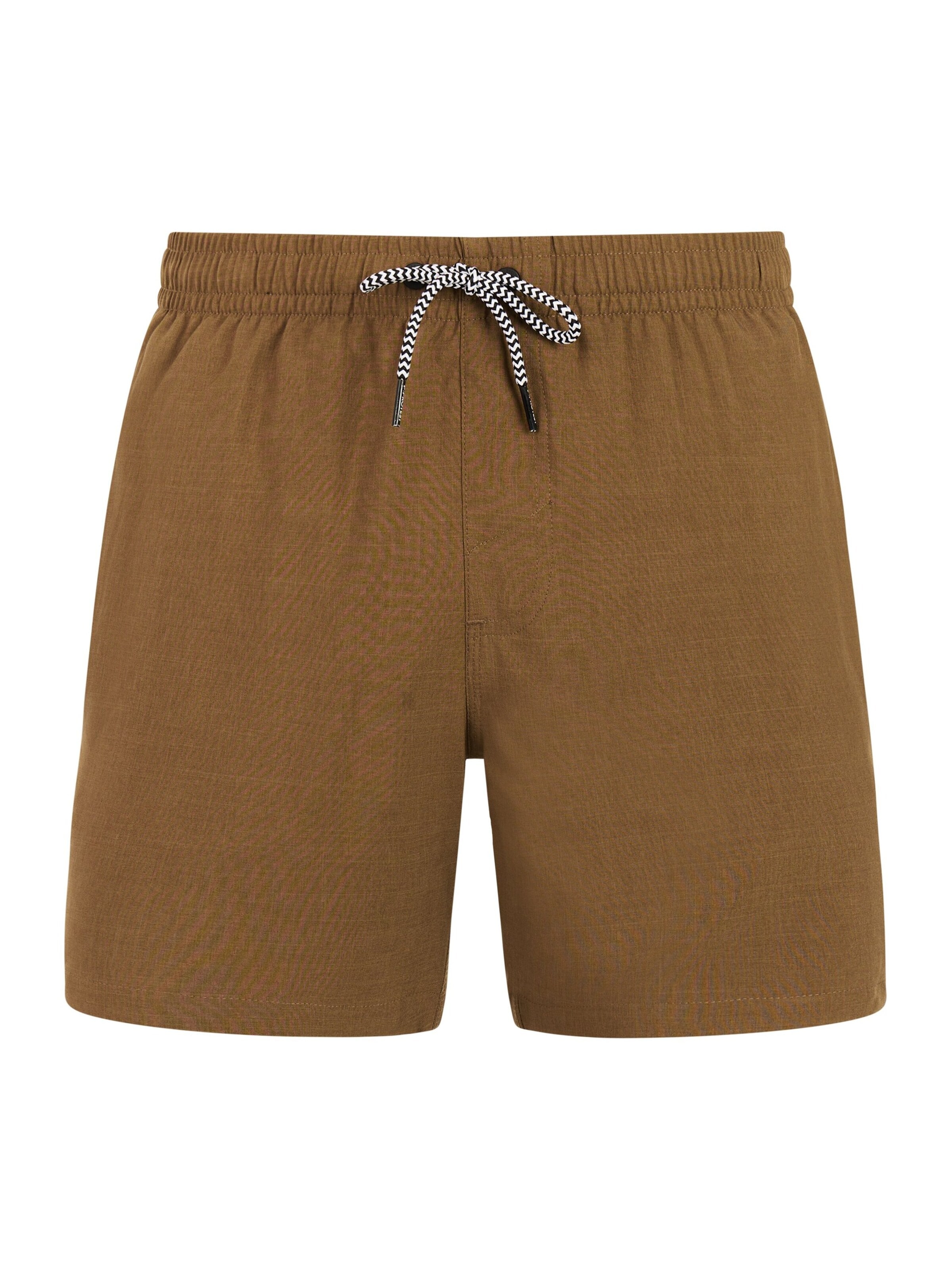 PROTEST Swimming shorts 'Davey' in Brown: front