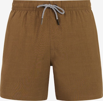 Shorts de bain 'Davey' PROTEST en marron : devant