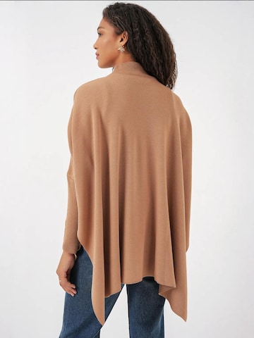 Bigdart Trui in Bruin