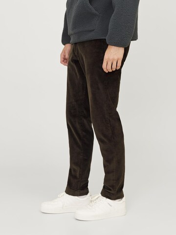 JACK & JONES Tapered Hose in Braun