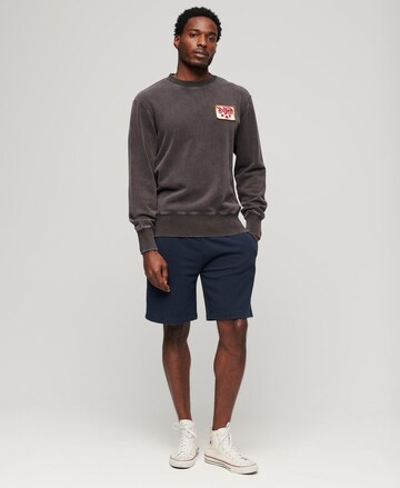 Superdry Sweatshirt in Bruin