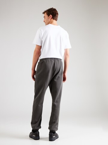 Pegador Конический (Tapered) Штаны в Серый