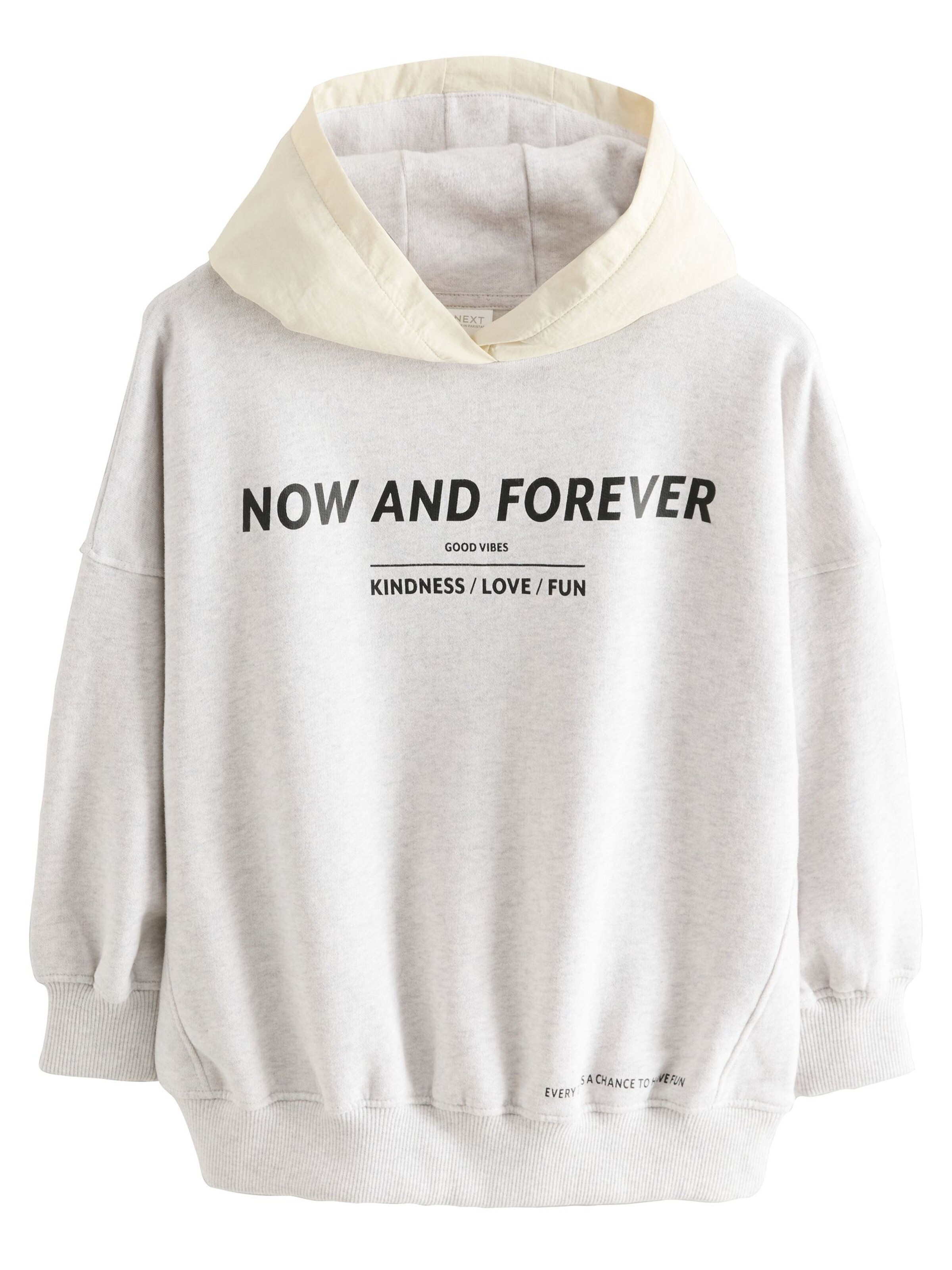 Sweat-shirt Next en gris : devant