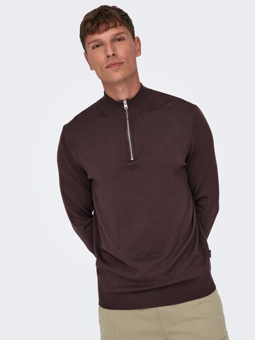 Only & Sons Pullover 'Wyler' i brun