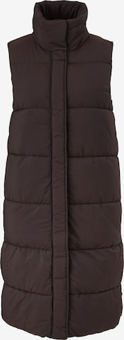 s.Oliver BLACK LABEL Vest in Brown: front