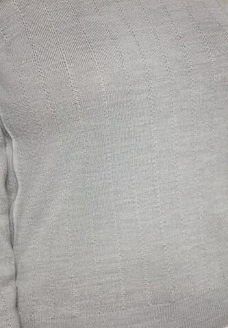 Usha Pullover in Grau