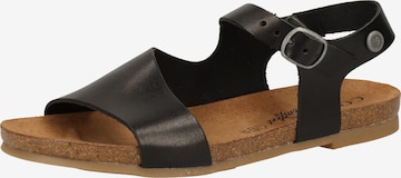 COSMOS COMFORT Sandals in Black: front