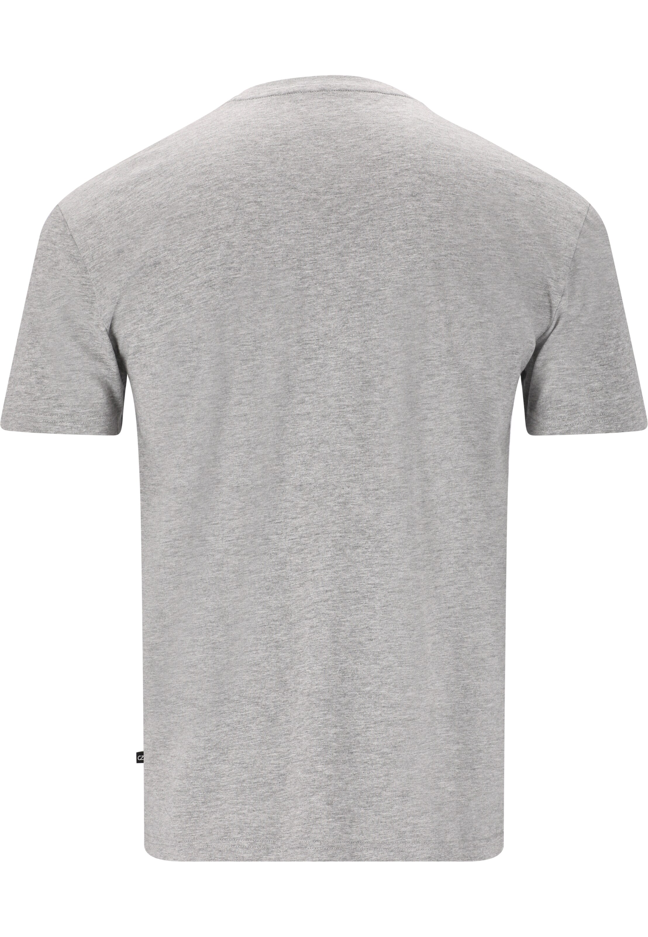 Cruz T-Shirt 'Gander' in Grau