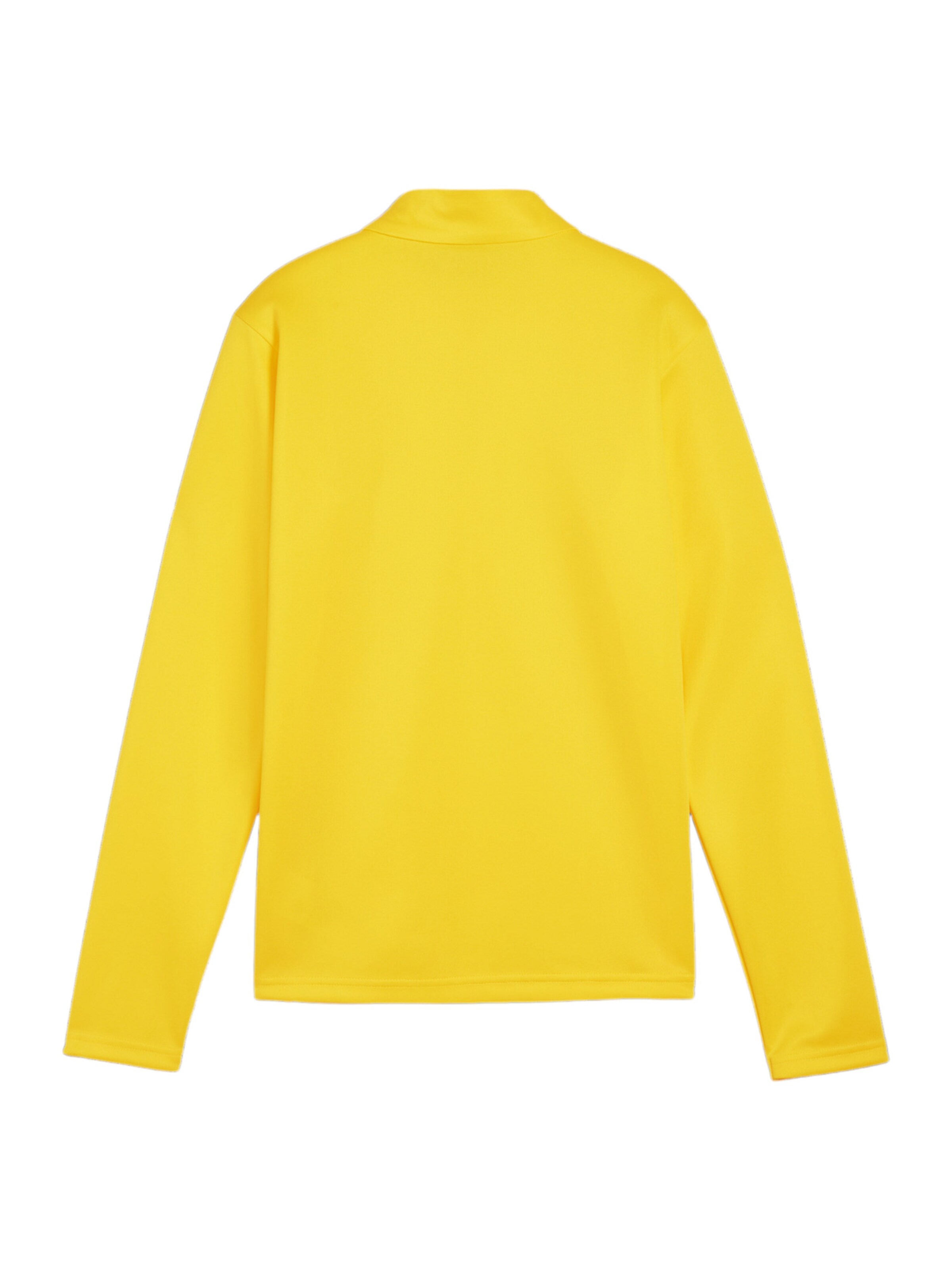 PUMA Funktionsshirt 'Team Goal' in Gelb