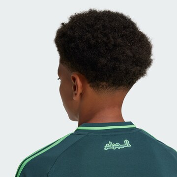 ADIDAS PERFORMANCE Performance shirt ' Algeria 24' in Green