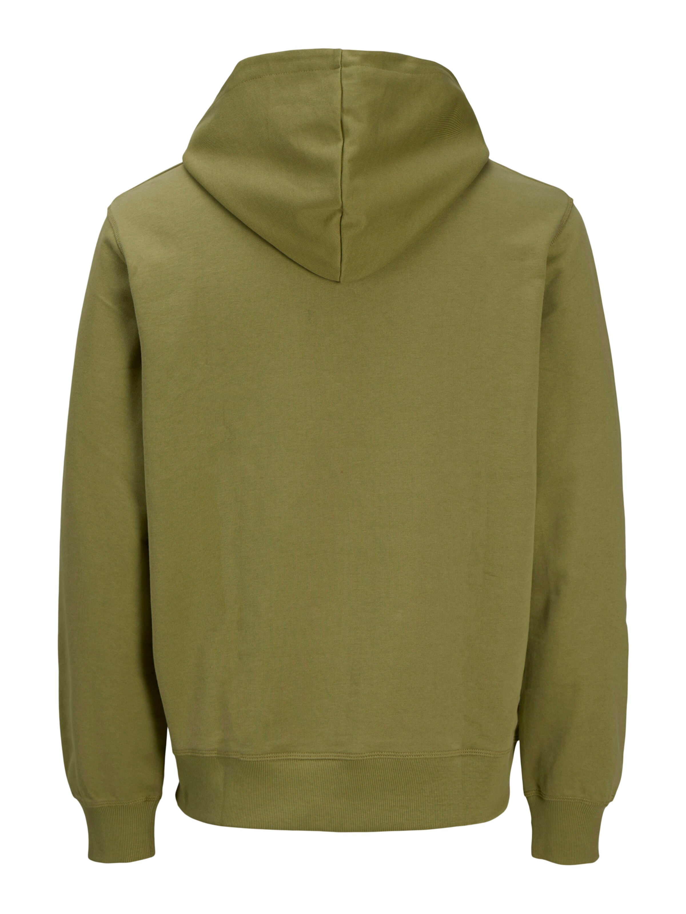 Jack & Jones Plus Sweatshirt 'JORAlmeria' in Green