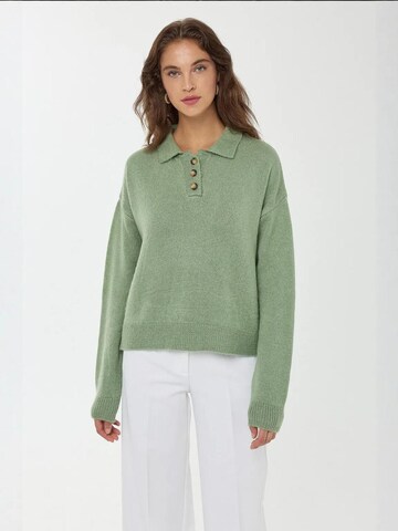 Hiccup Sweater in Green: front