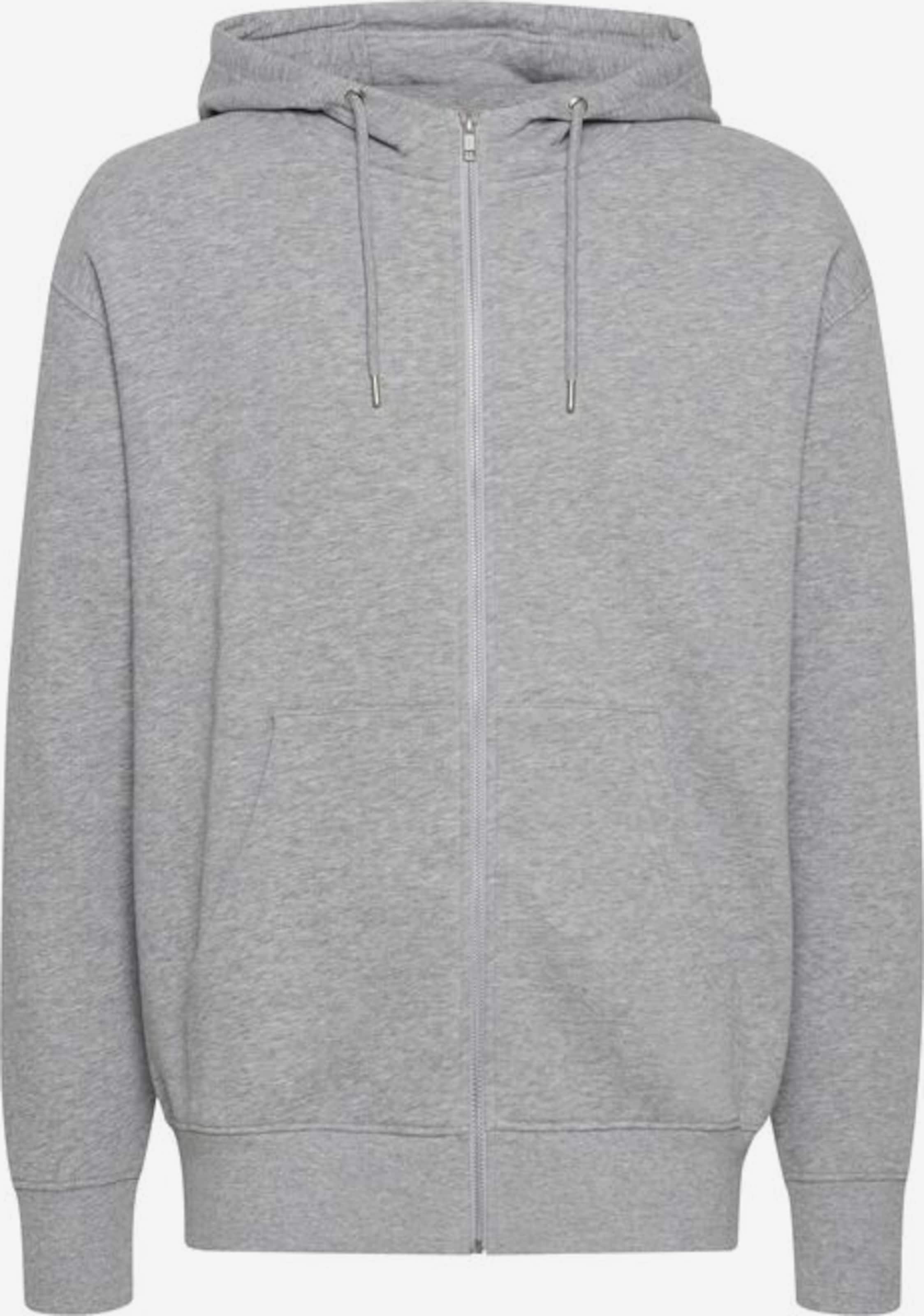 Solid Zip-Up Hoodie 'SD LENZ' in Grey | ABOUT YOU