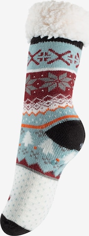 Yenita - Meias em preto: frente