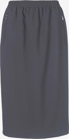 Goldner Skirt in Grey: front