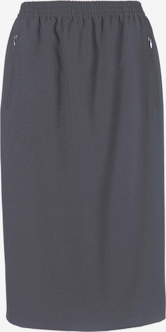 Goldner Skirt in Grey: front