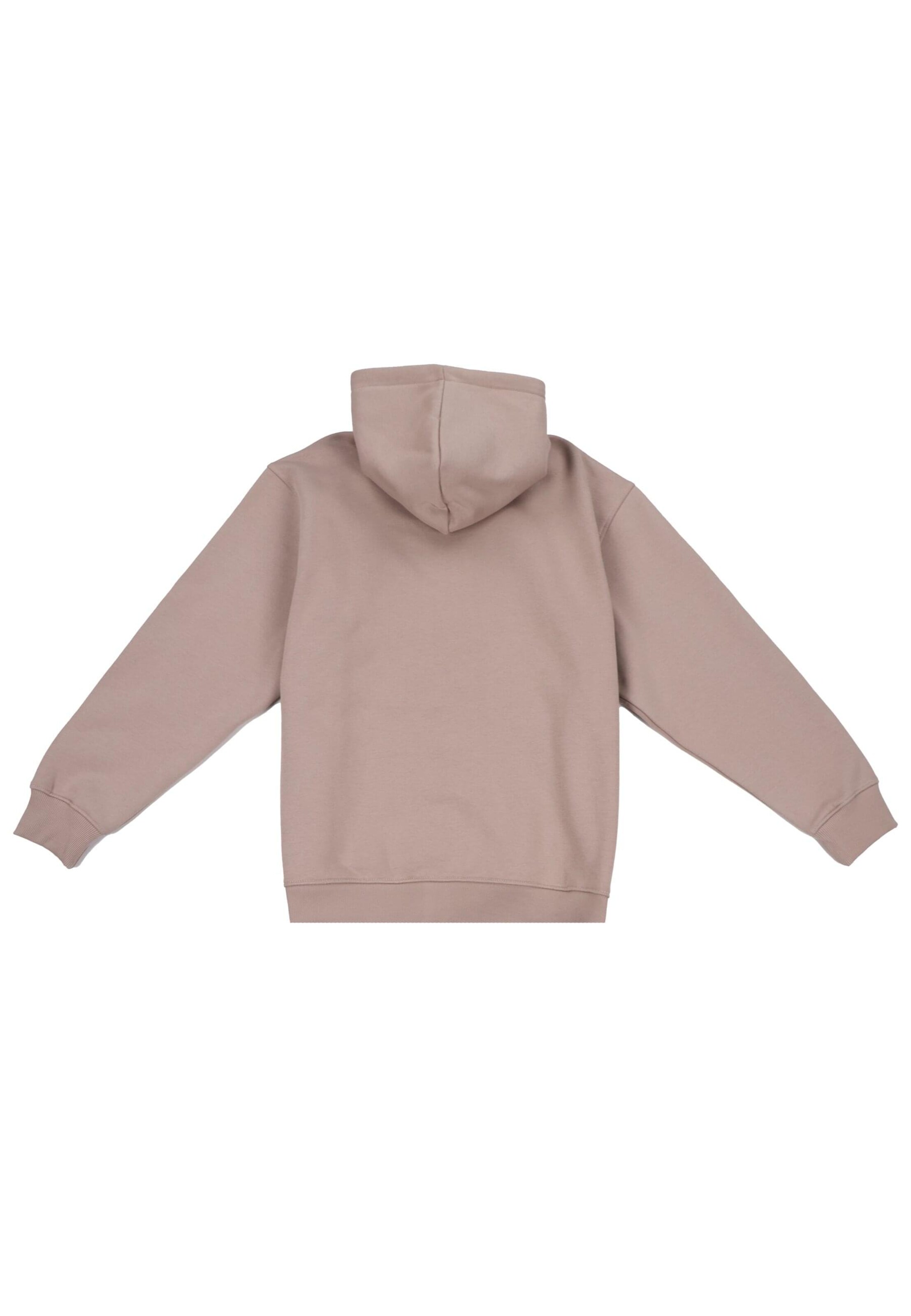 Dropsize Sweatjacke in Grau