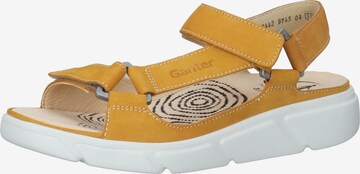 Ganter Strap Sandals in Yellow: front