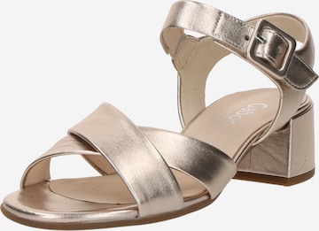 GABOR Sandal in Pink: front