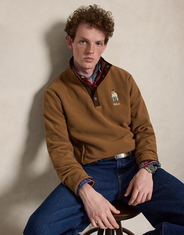 Polo Ralph Lauren Pullover i brun