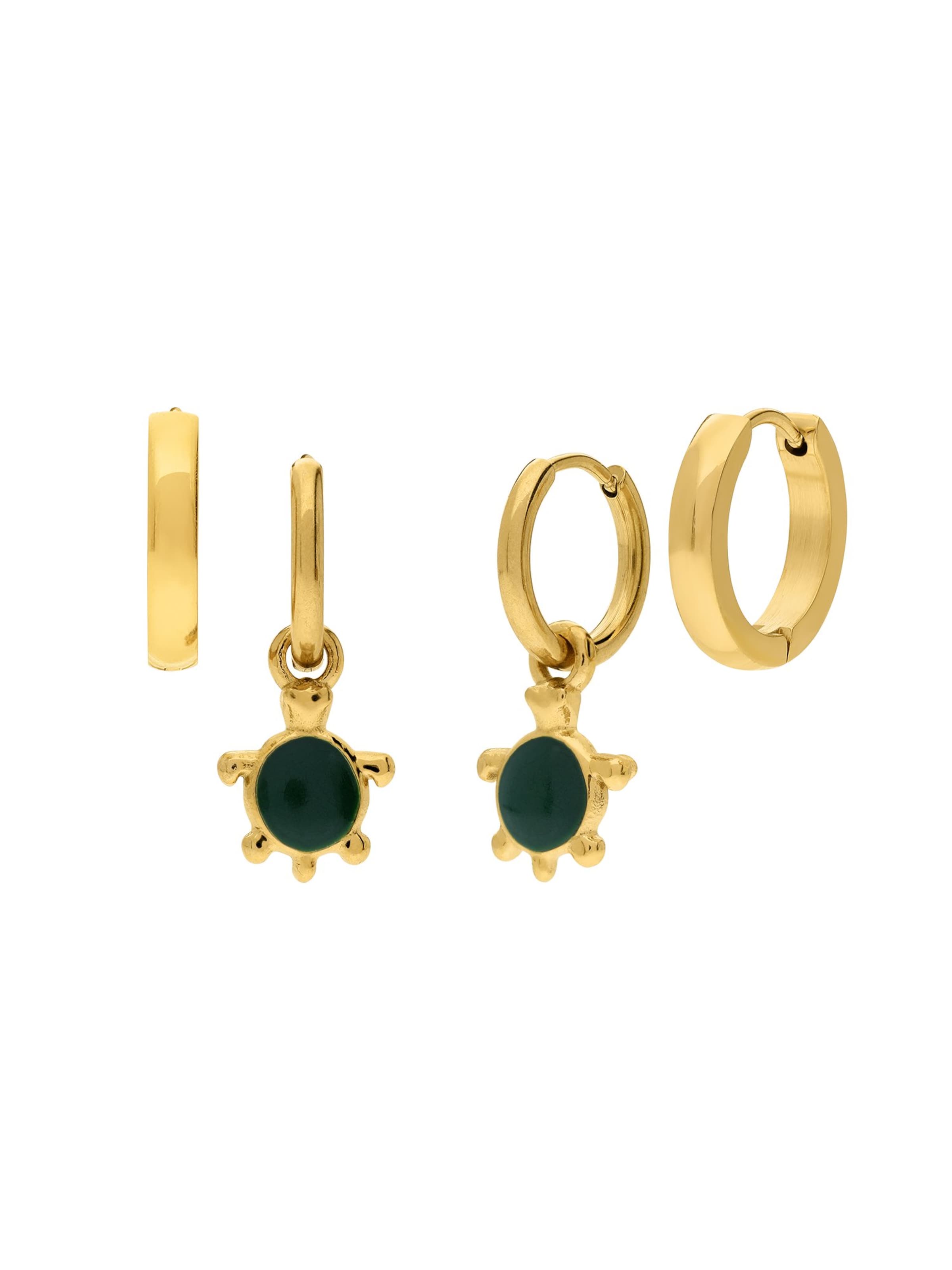 Lucardi Earrings in Gold: front