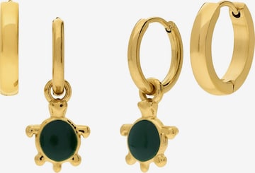 Lucardi Earrings in Gold: front